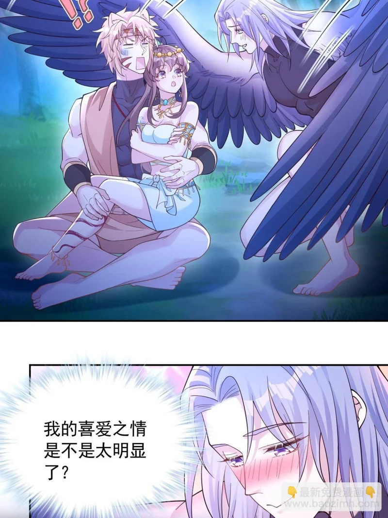 732 第33页
