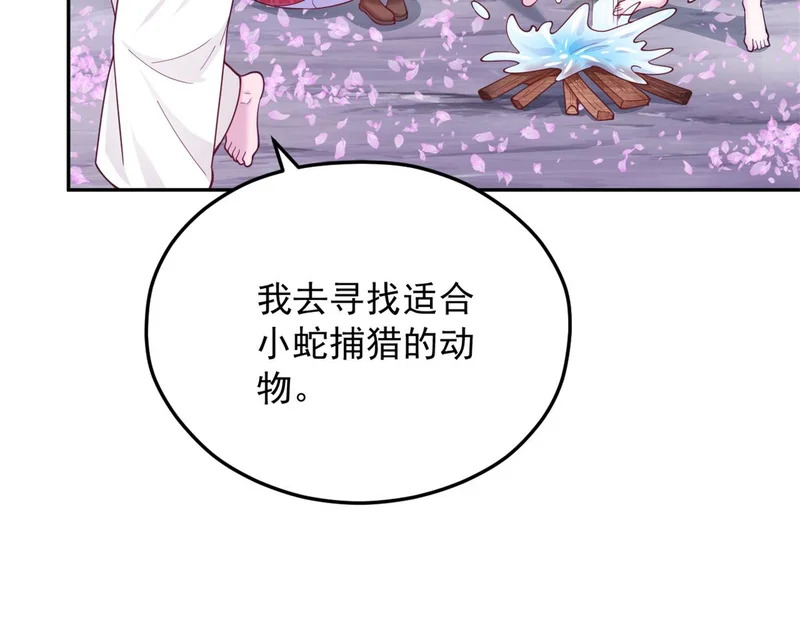 733 第13页