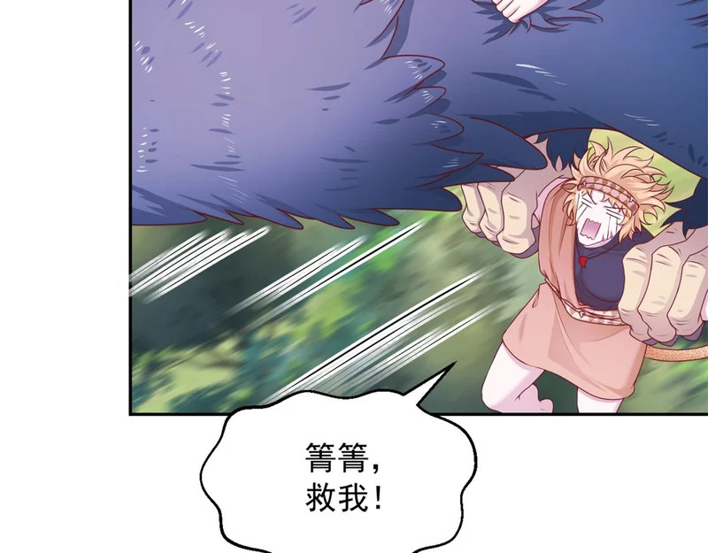 733 第41页