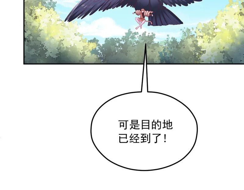 733 第59页
