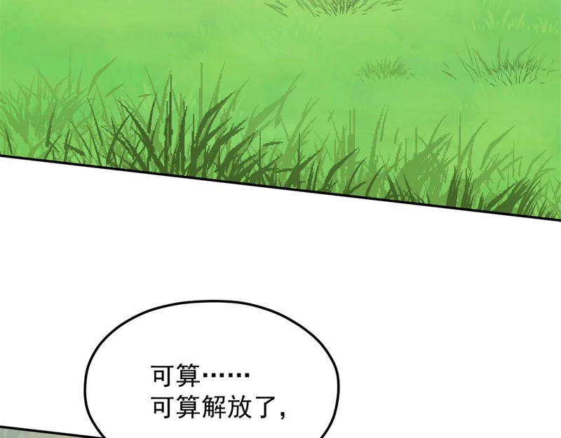 733 第65页