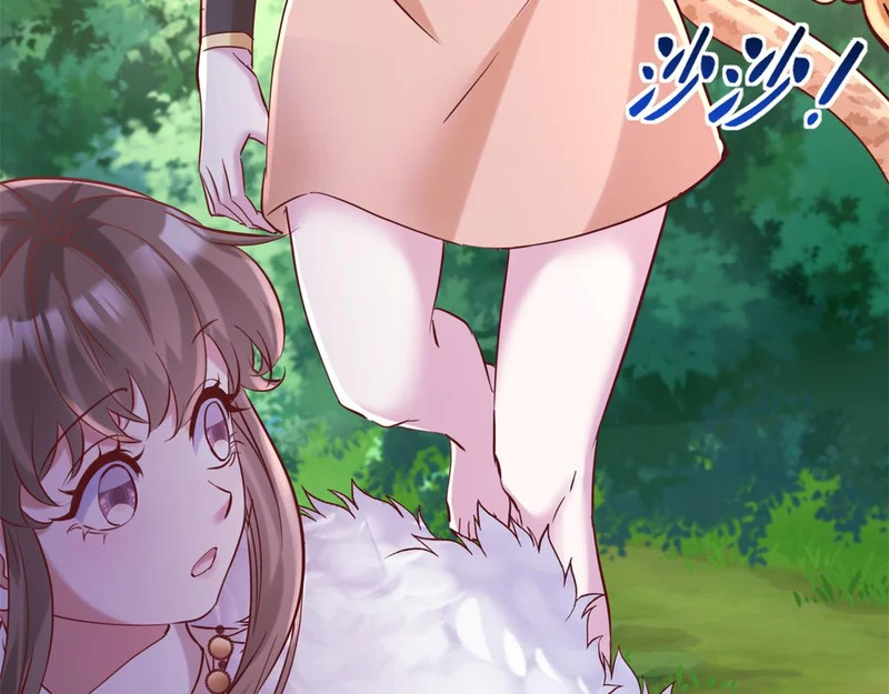 735 第46页