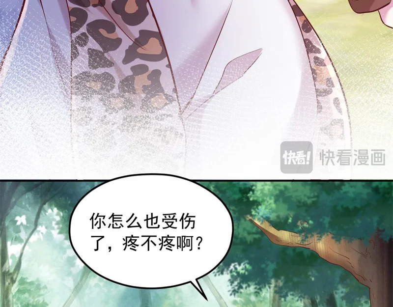 735 第49页