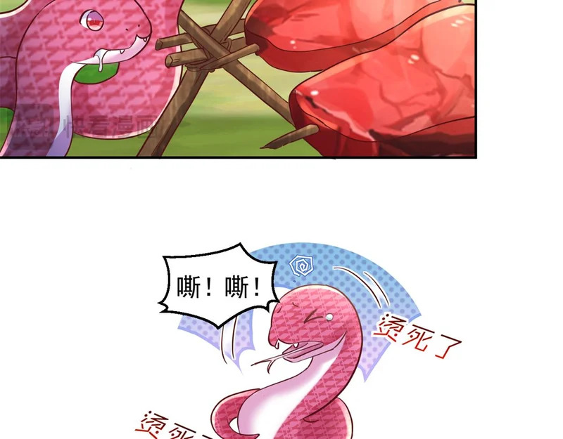 735 第85页