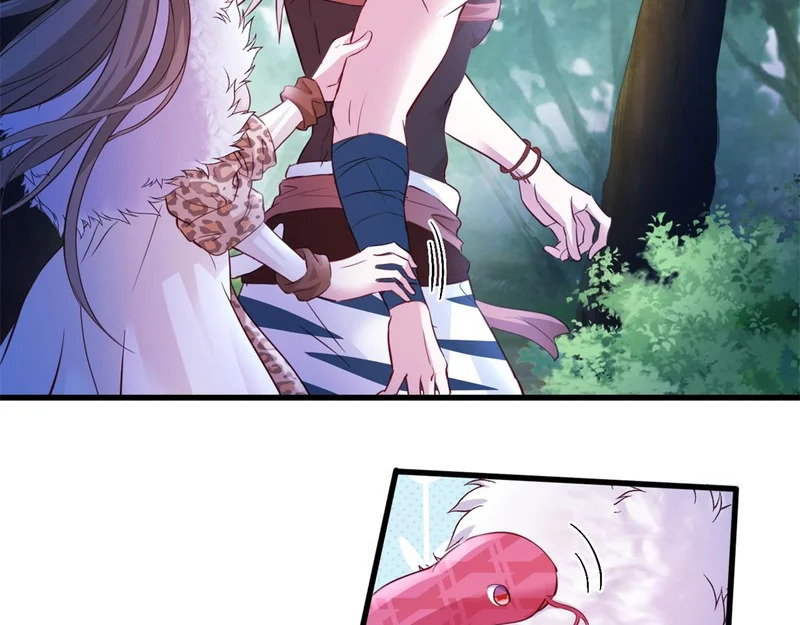 736 第23页