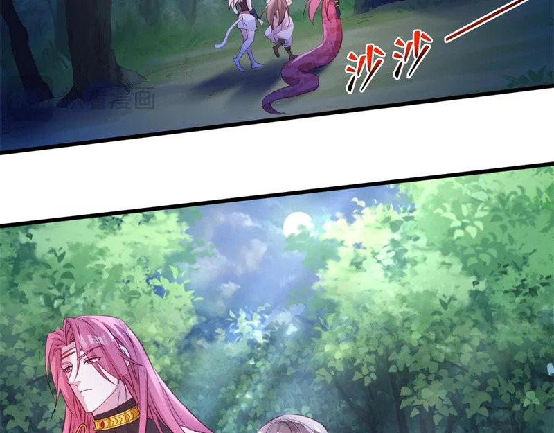 736 第31页