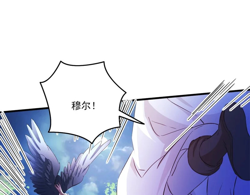 736 第43页