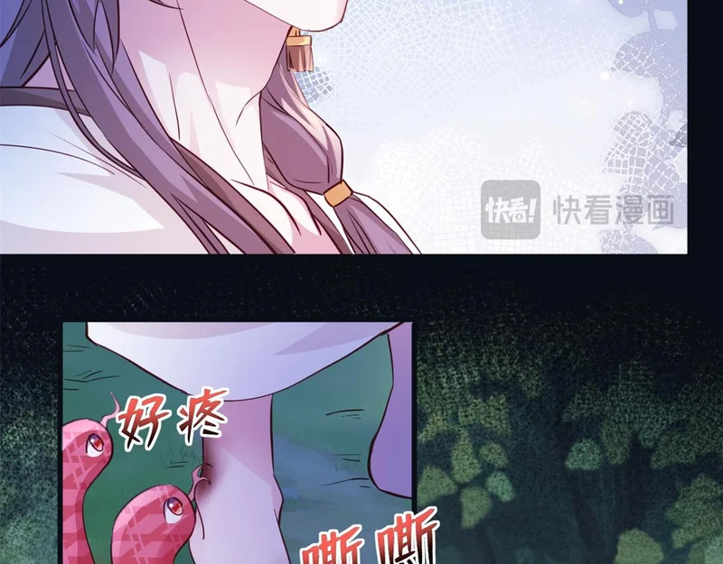 736 第97页