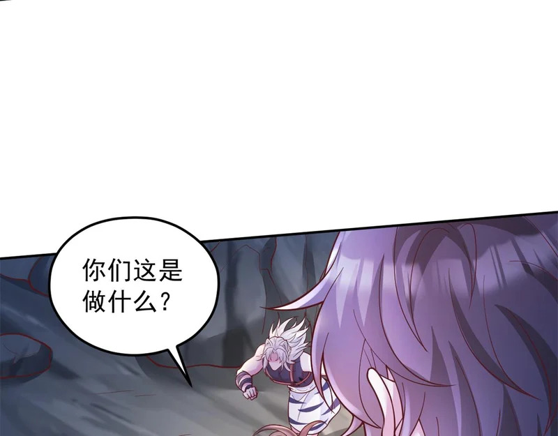 737 第43页