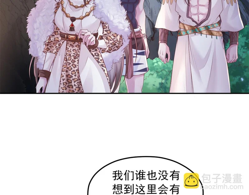 737 第65页