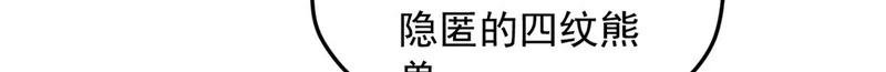 737 第66页