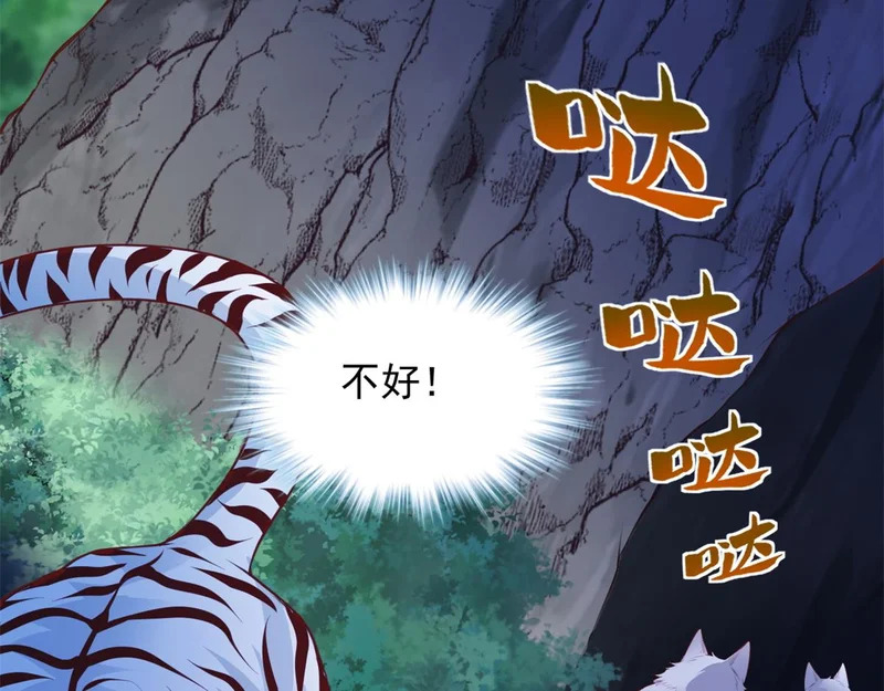 738 第43页