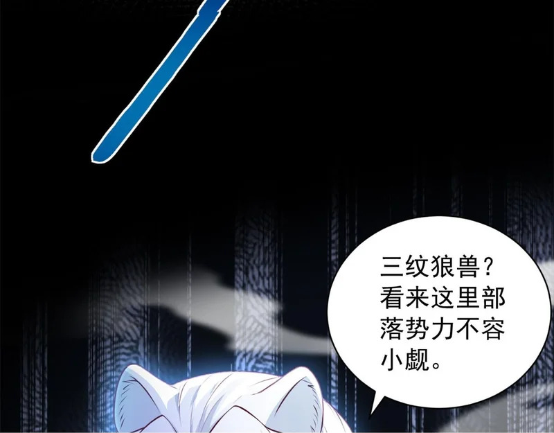 738 第62页