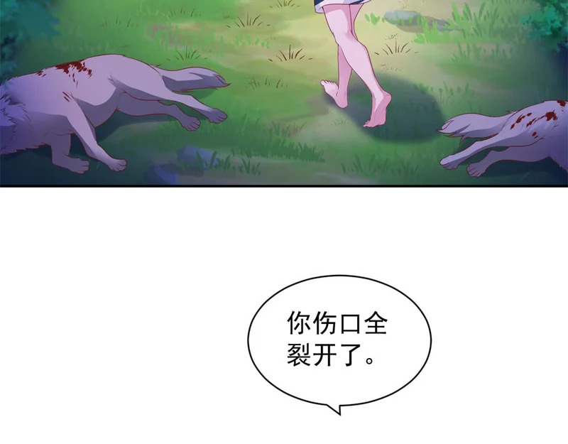 738 第68页