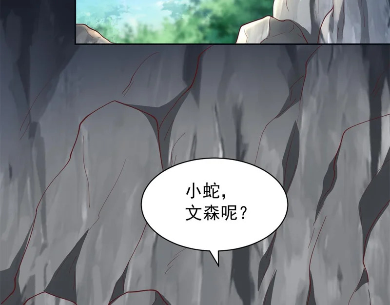 738 第74页