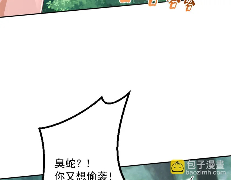 738 第113页