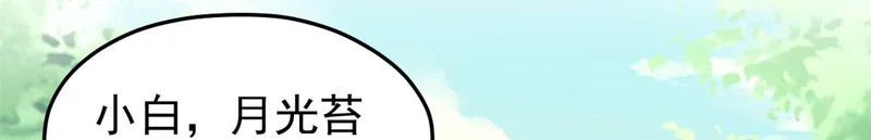 739 第24页