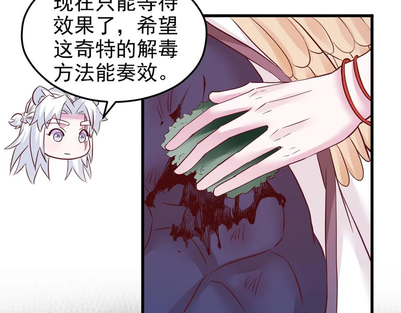 739 第62页