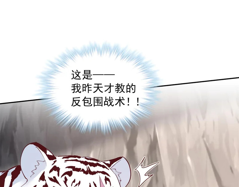 741 第28页