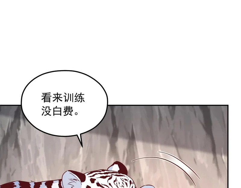 741 第55页