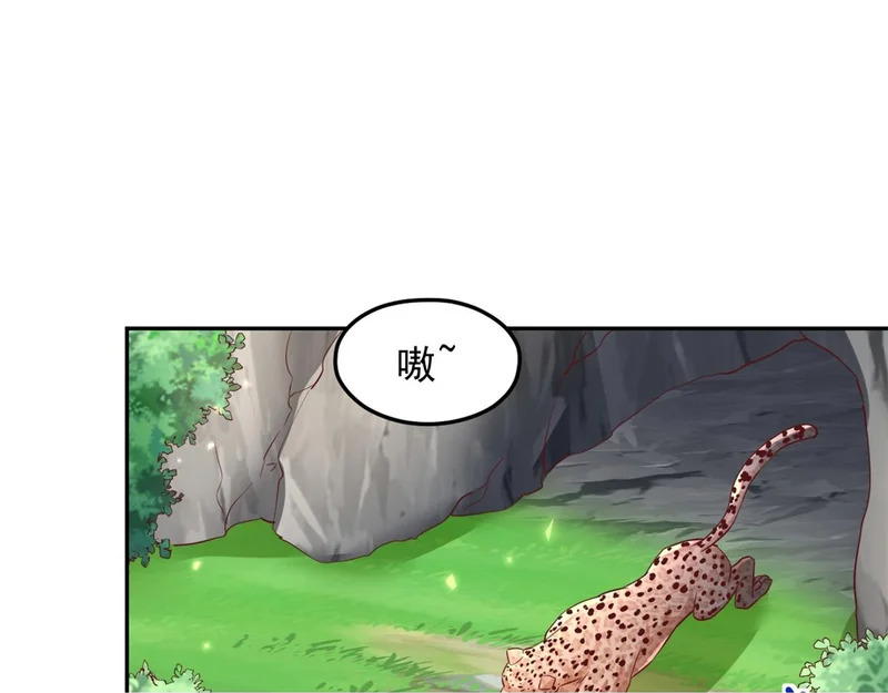 741 第100页