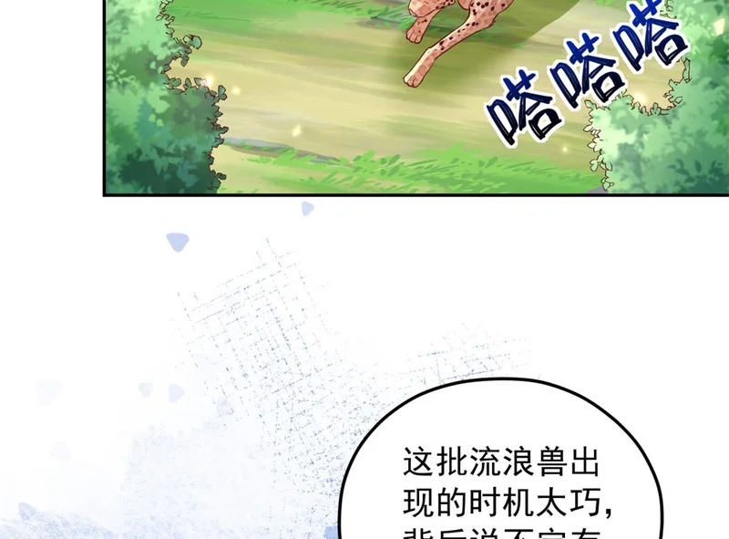 741 第101页