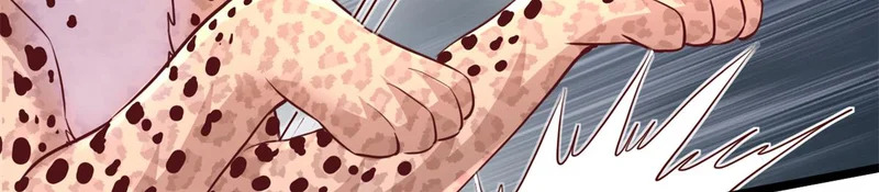 742 第60页
