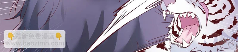 742 第63页