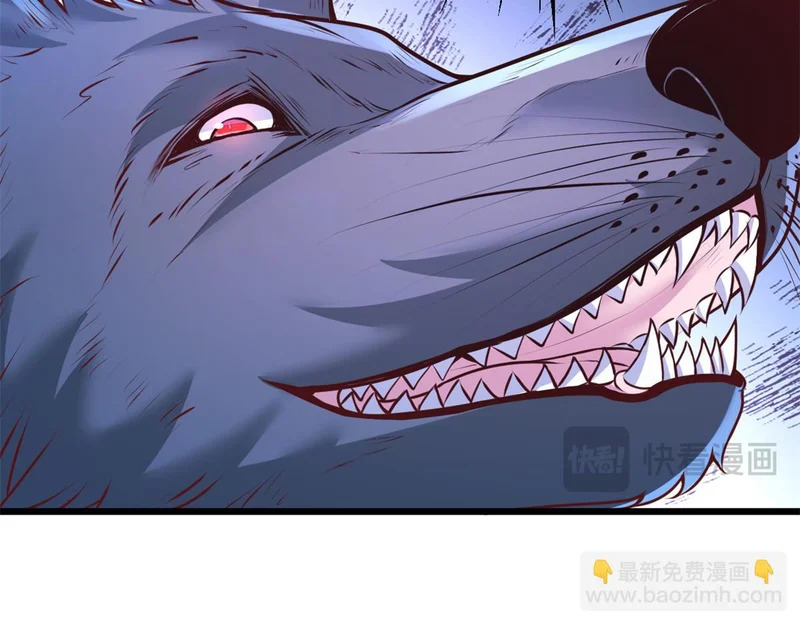 742 第109页