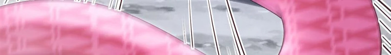 743 第66页