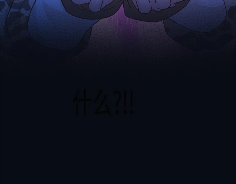 747 第40页