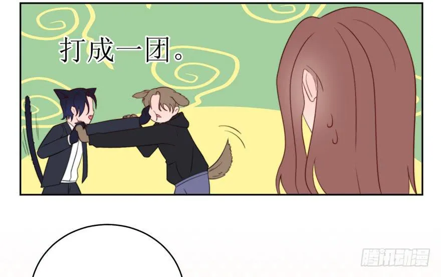 停更公告 第3页