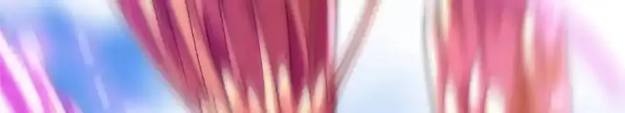 77 凤凰的突袭 第183页
