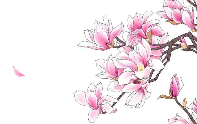 醒悟 第45页