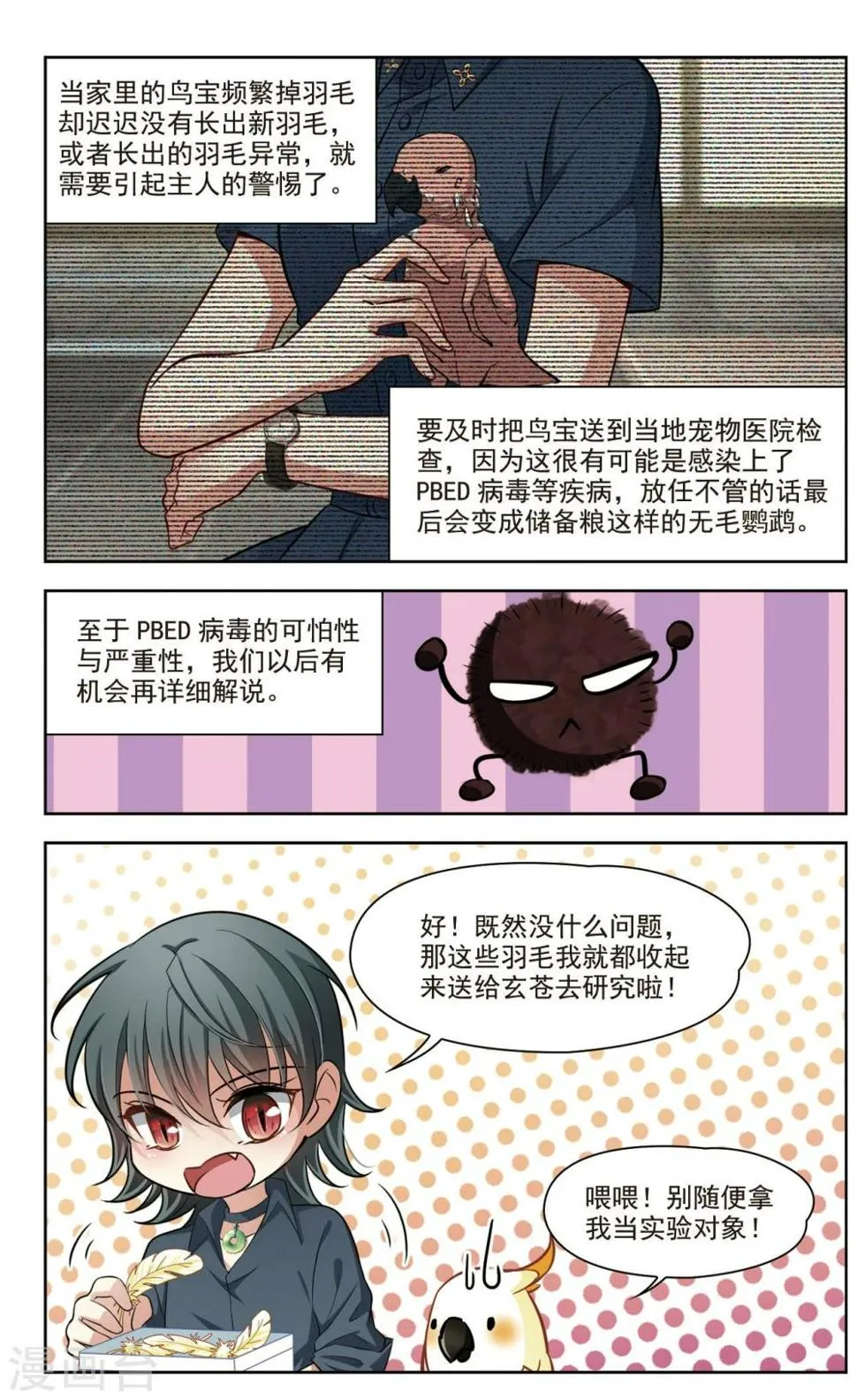 第38话 新的开始3 第11页