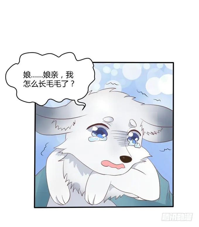 皇子化形 第51页