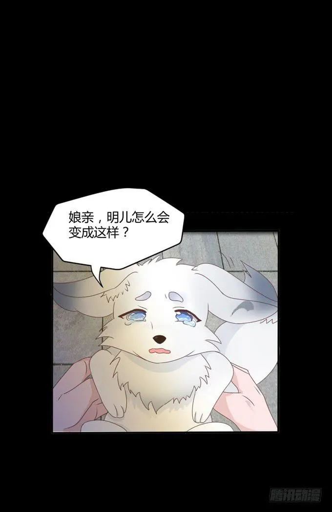 单独相见 第12页