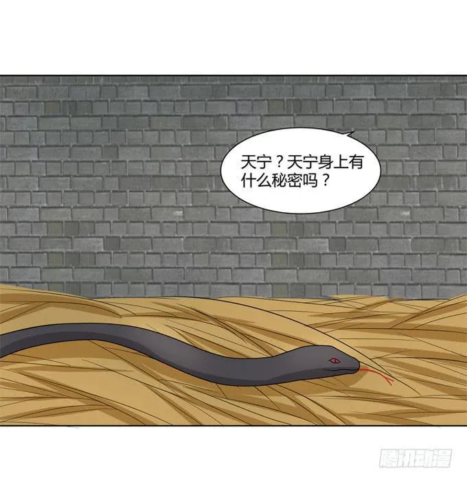 贵妃之死 第16页