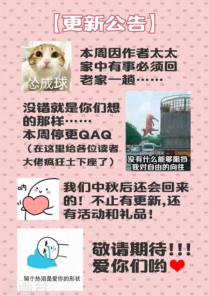 停更公告 第1页