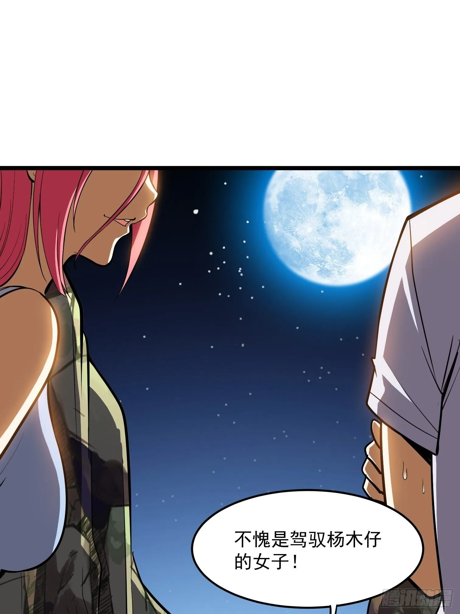 53 第13页