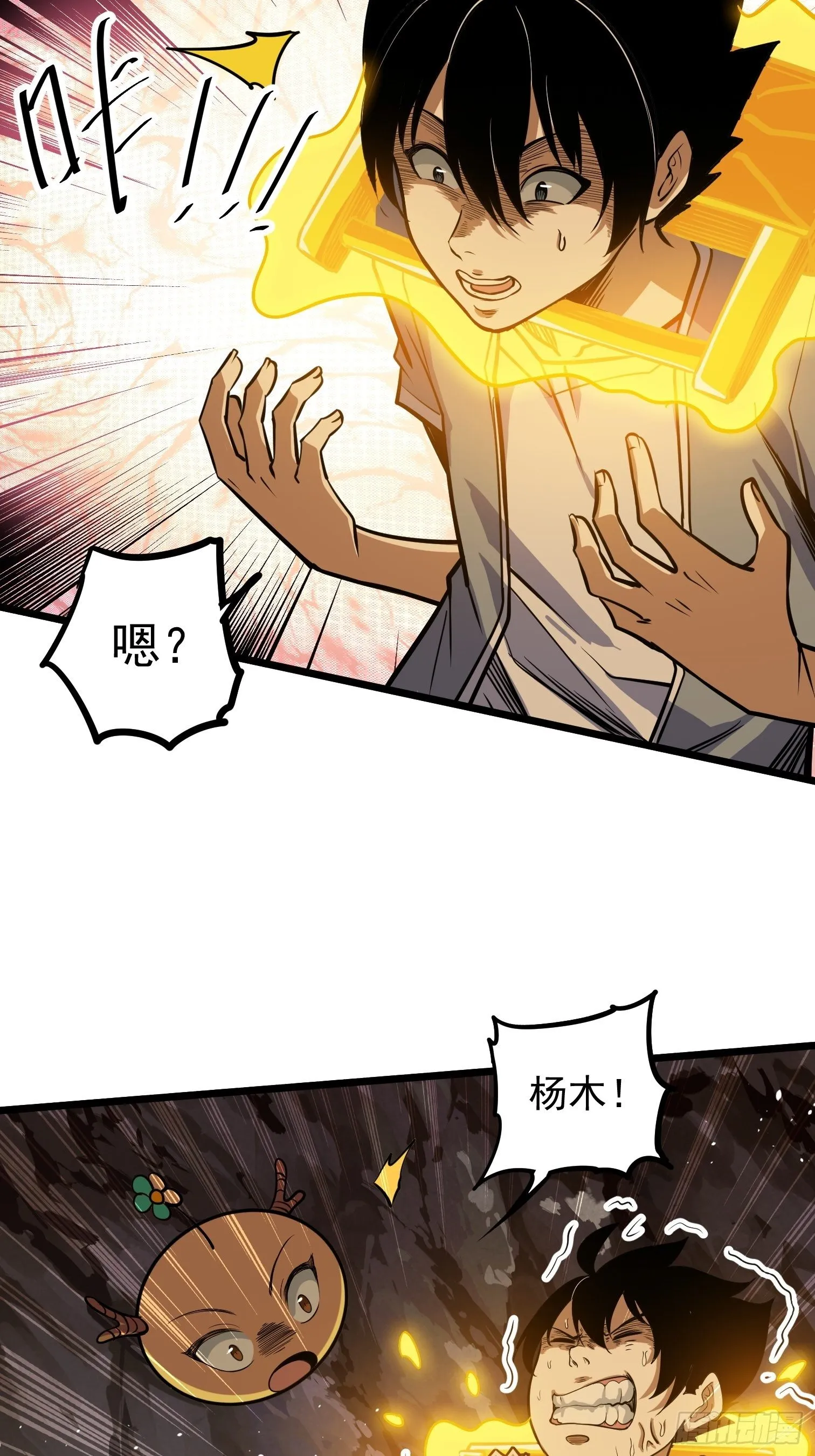 46 第47页