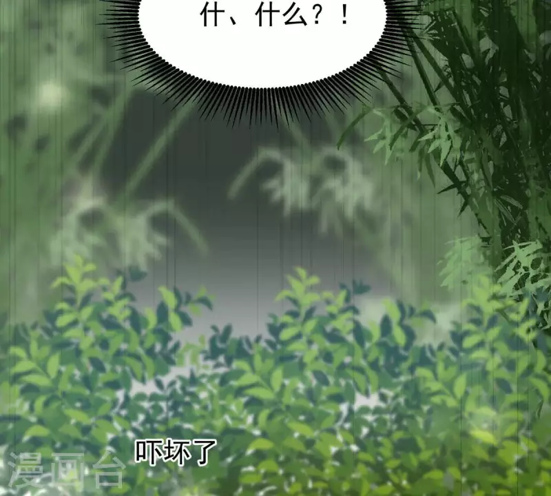 第13话 她会是我裴家人 第71页