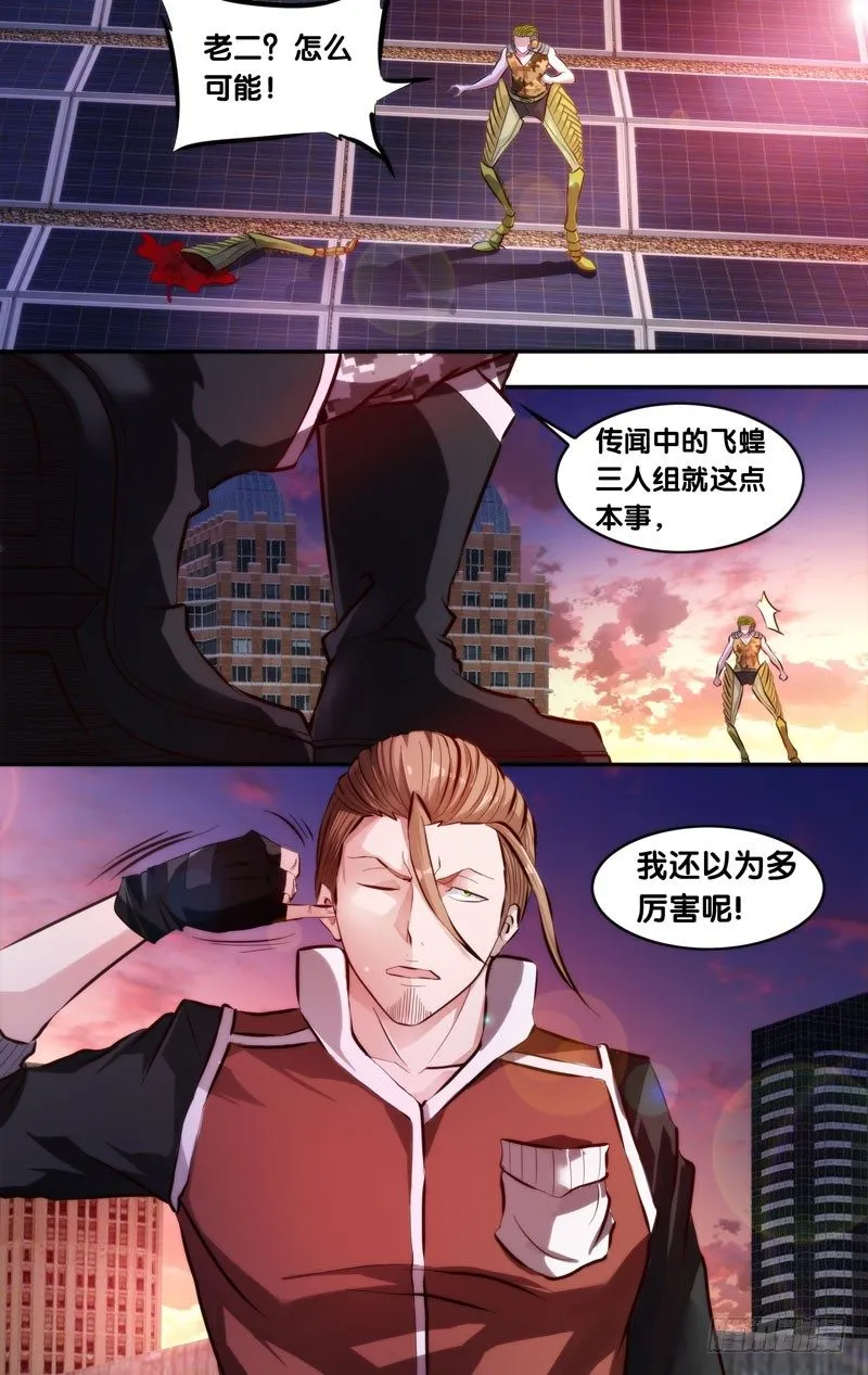 4.沈峰的实力 第1页