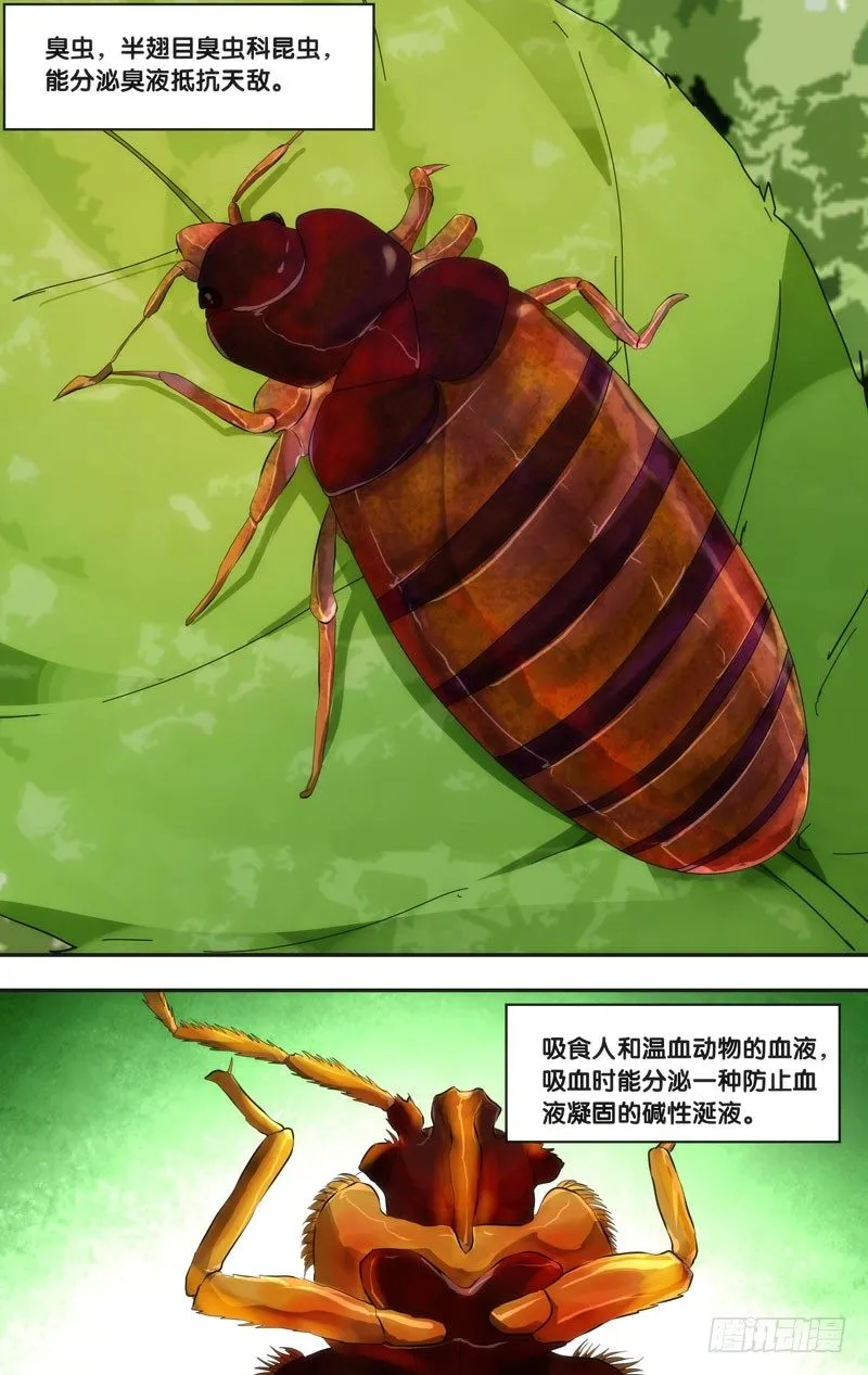 49.胜负 第10页