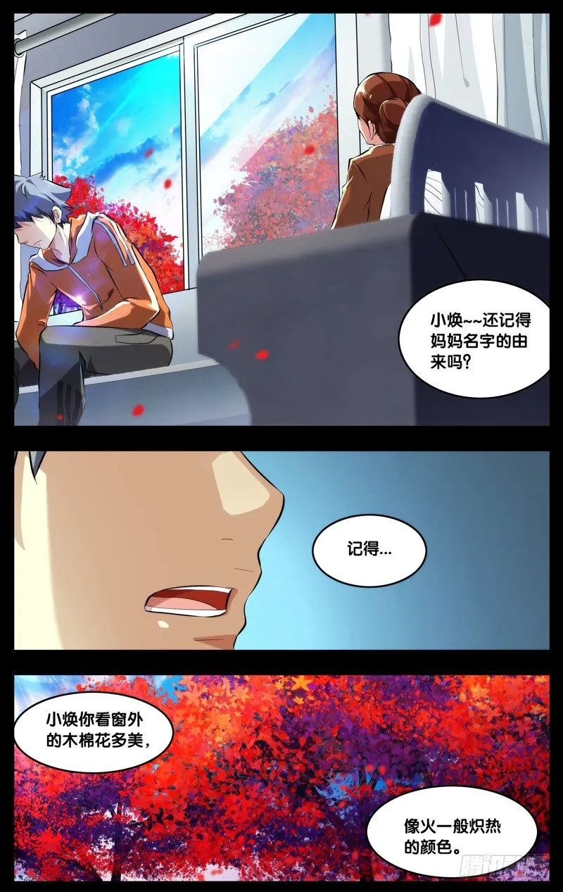 67.木棉 第4页