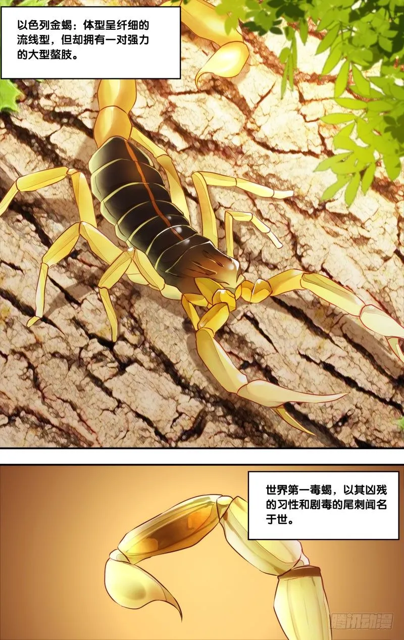 78.游戏结束 第7页