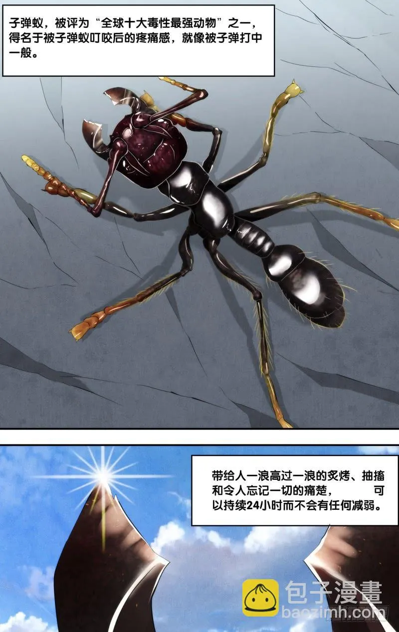 170.独角仙 第8页