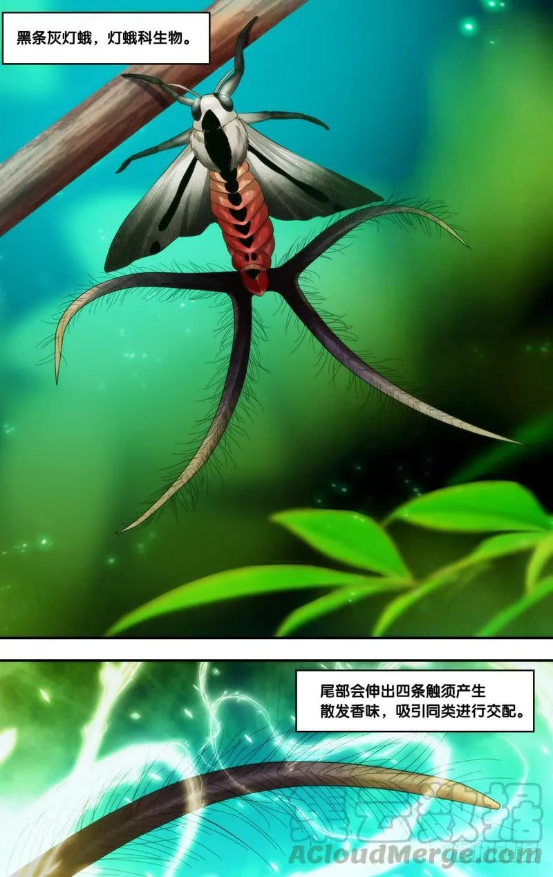199.香水味 第11页