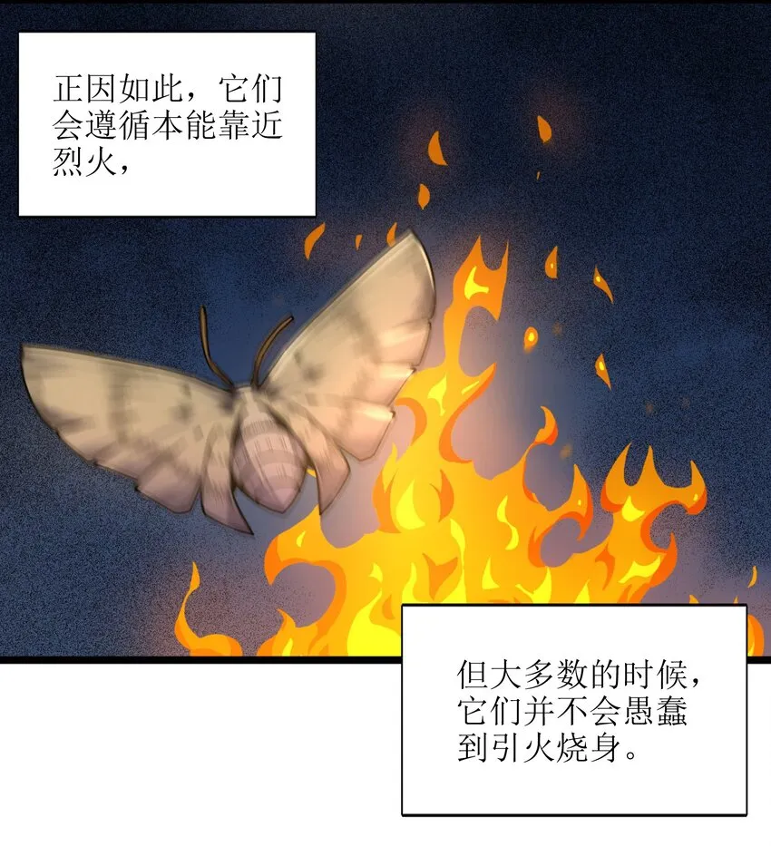 033 移交申请 第19页
