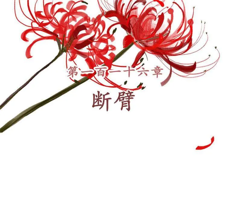 第116话 断臂 第2页